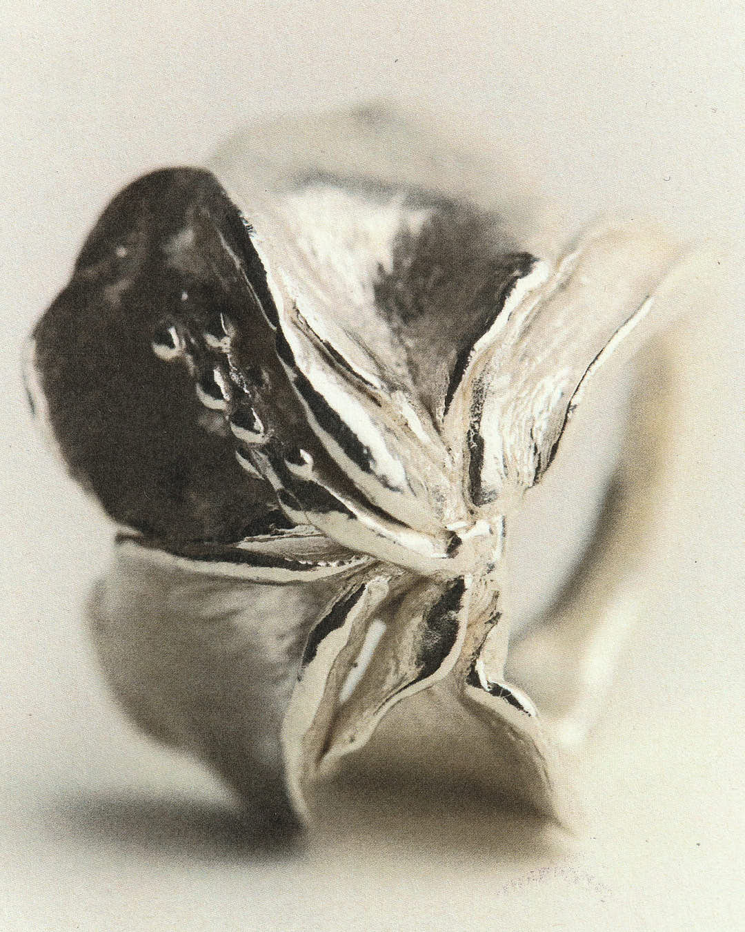 Jeanette's Ring
