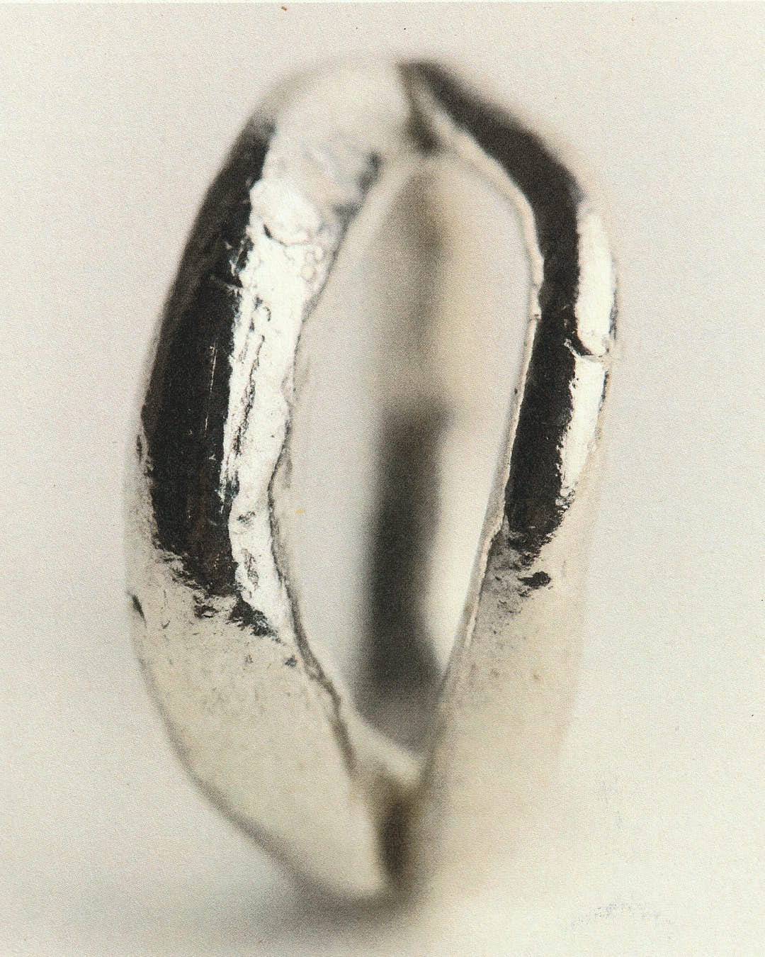 Renata's Ring