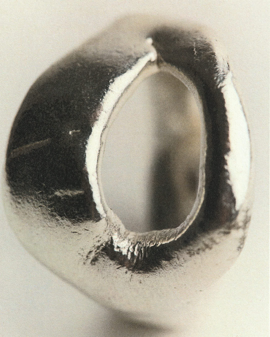 Cecilia's Ring