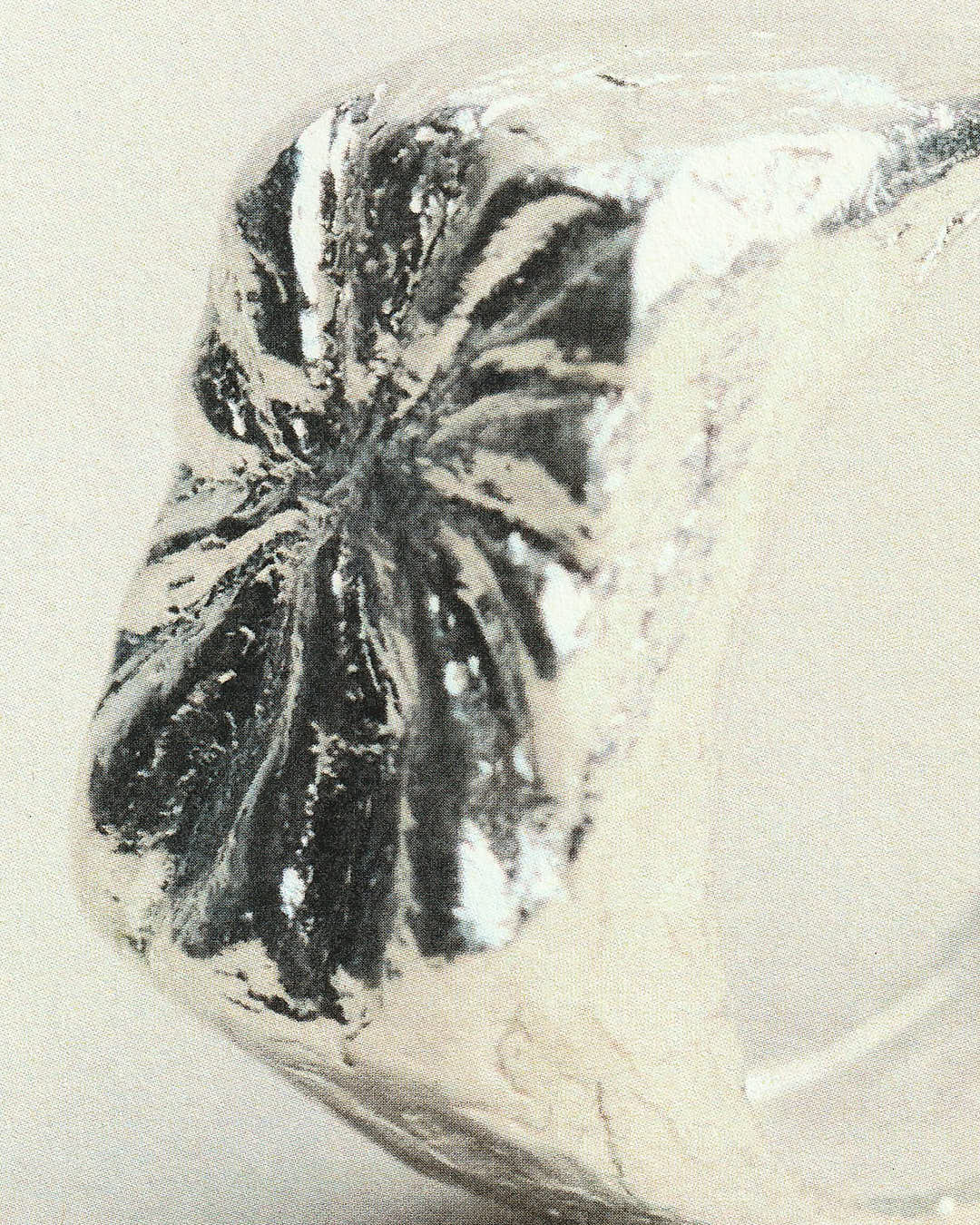 Carmina's Ring