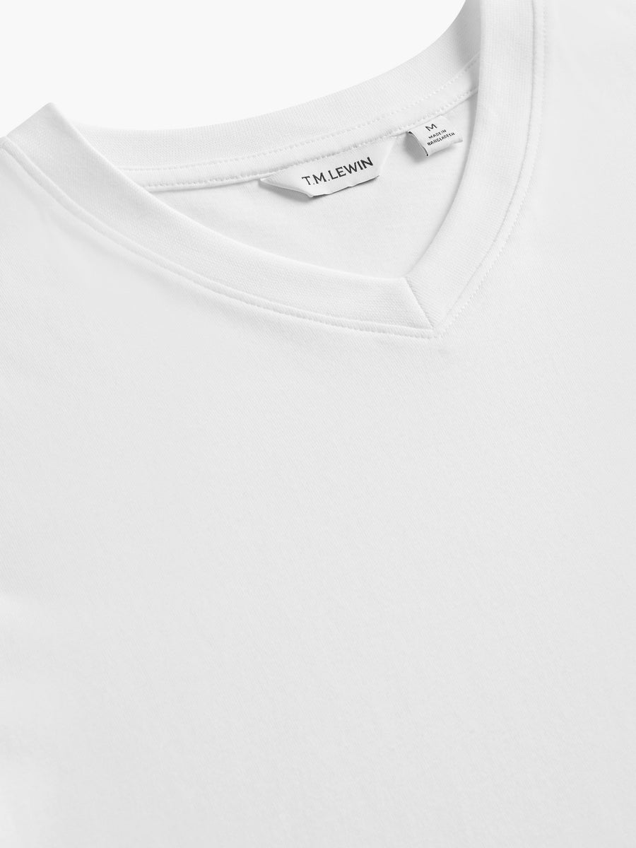 The V-Neck T-Shirt