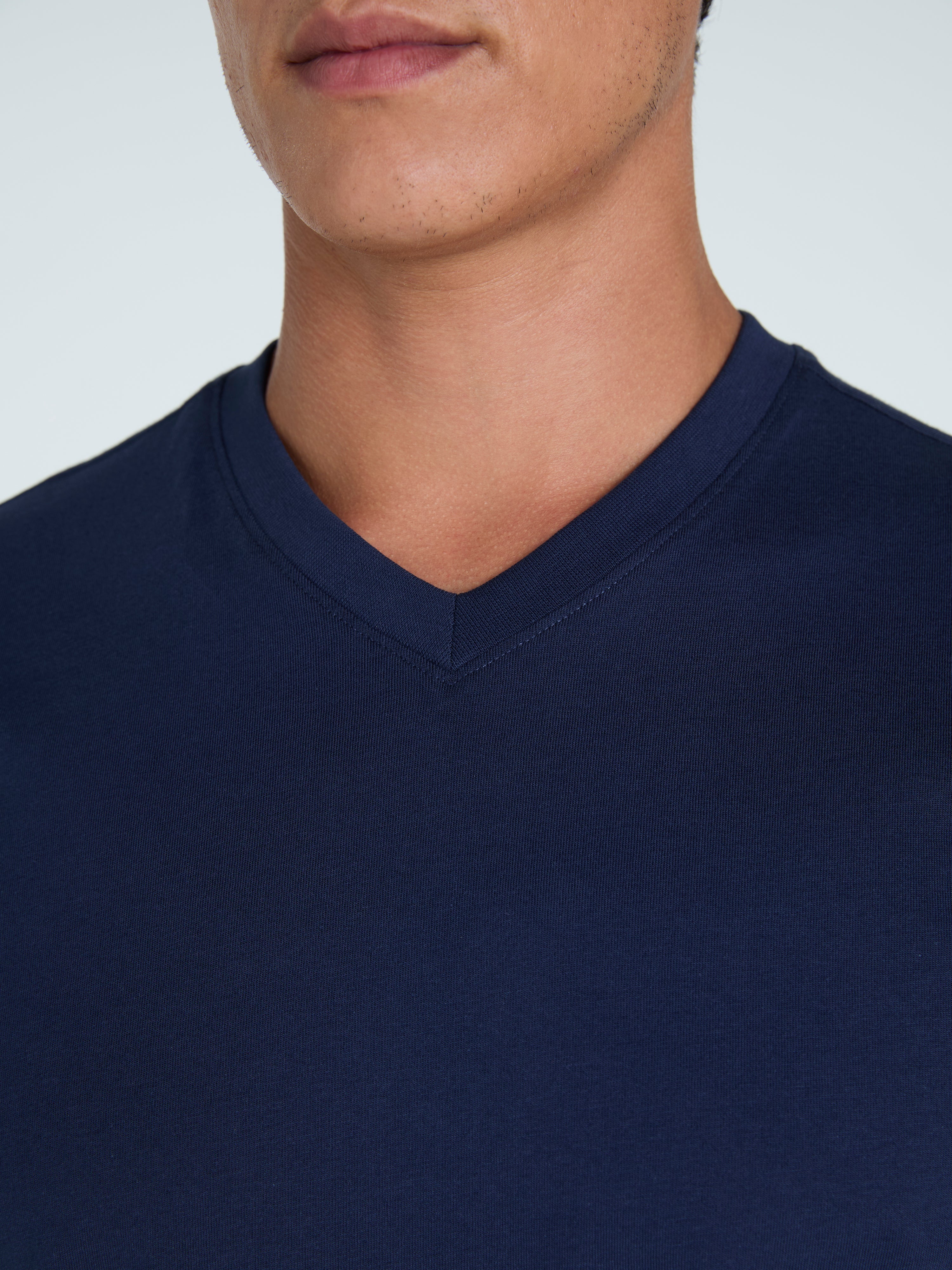 The V-Neck T-Shirt