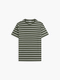 The Classic T-Shirt