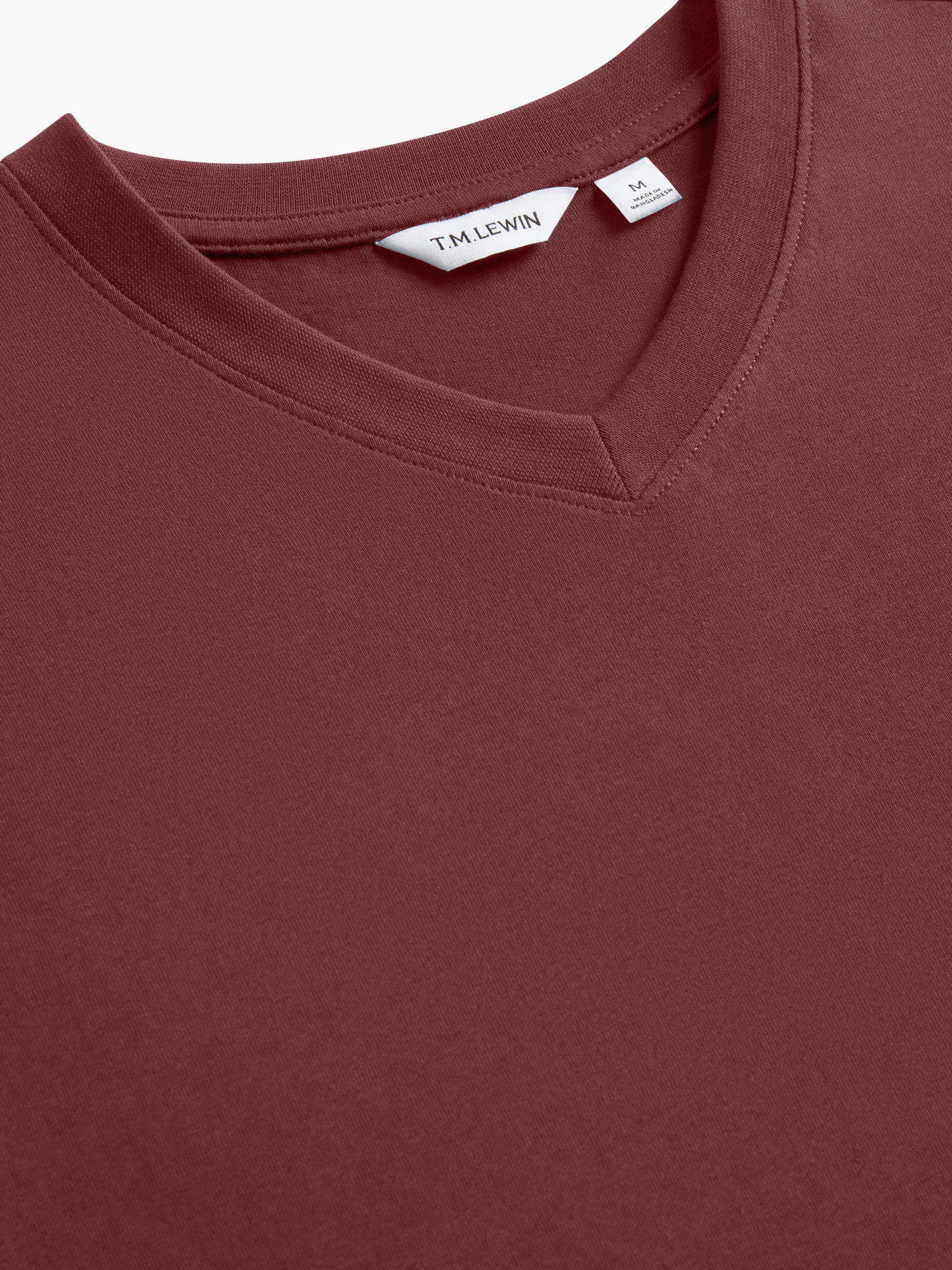 The V-Neck T-Shirt