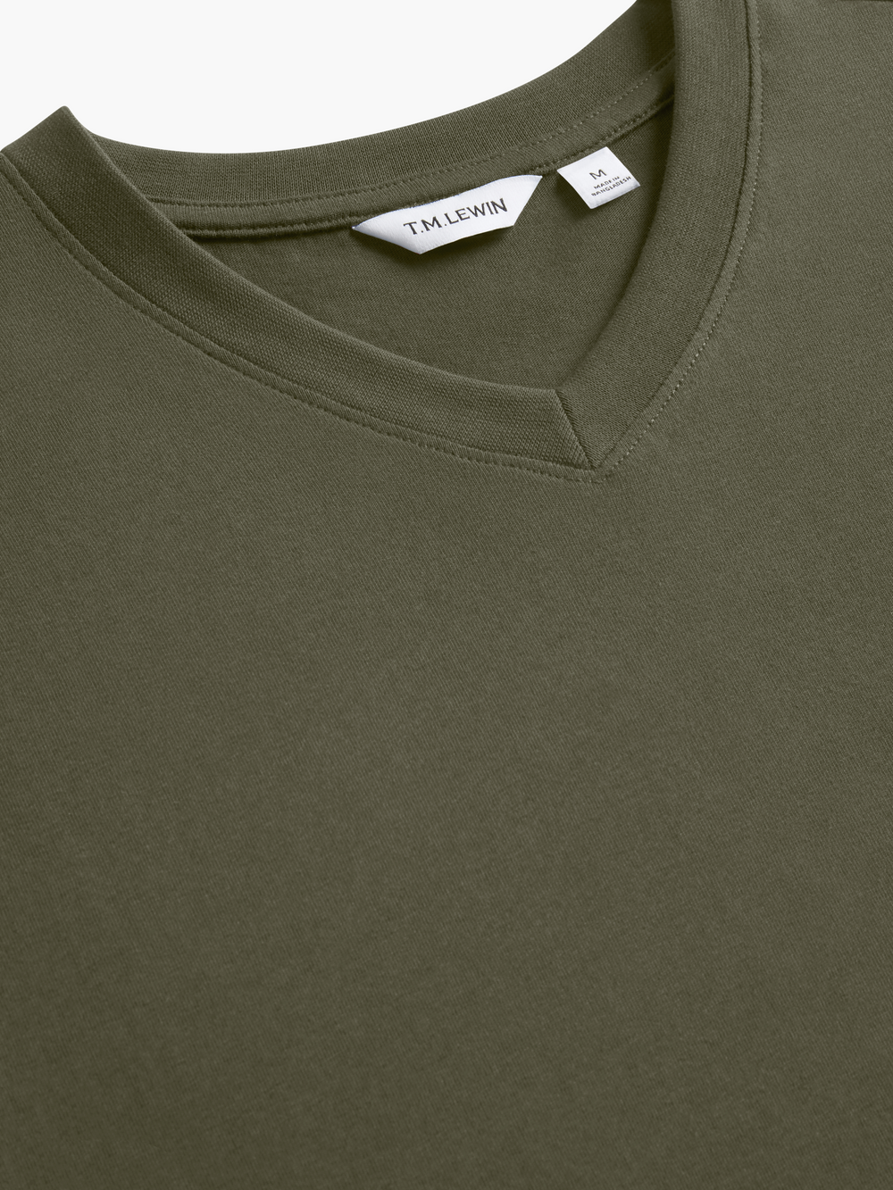 The V-Neck T-Shirt
