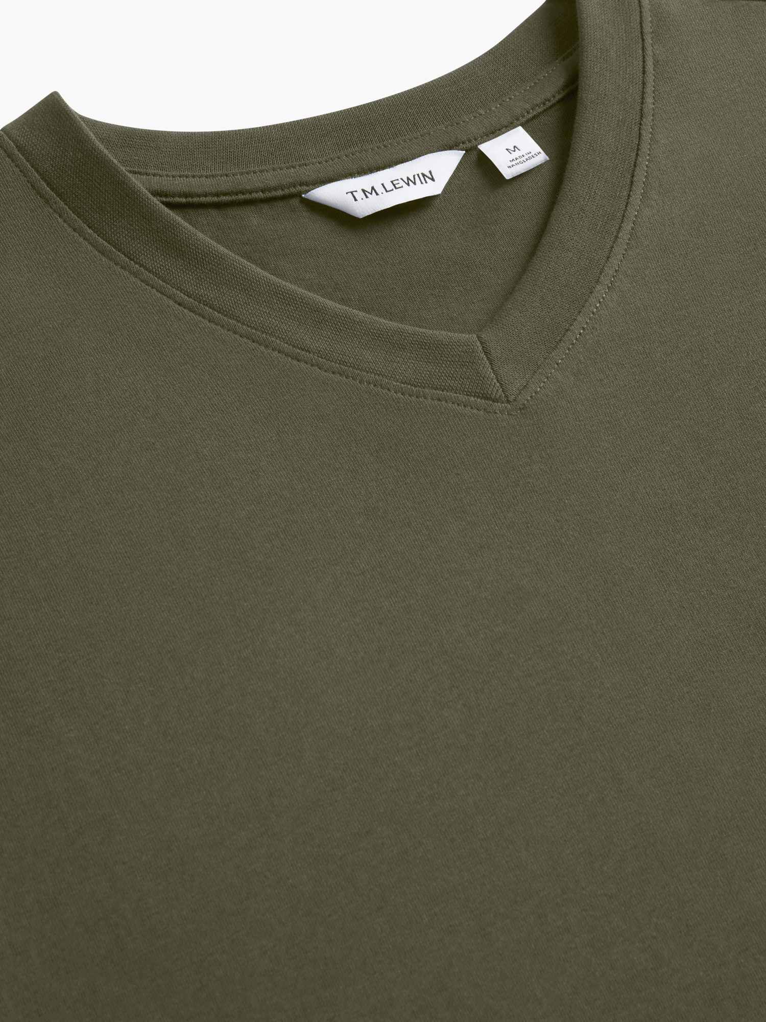 The V-Neck T-Shirt
