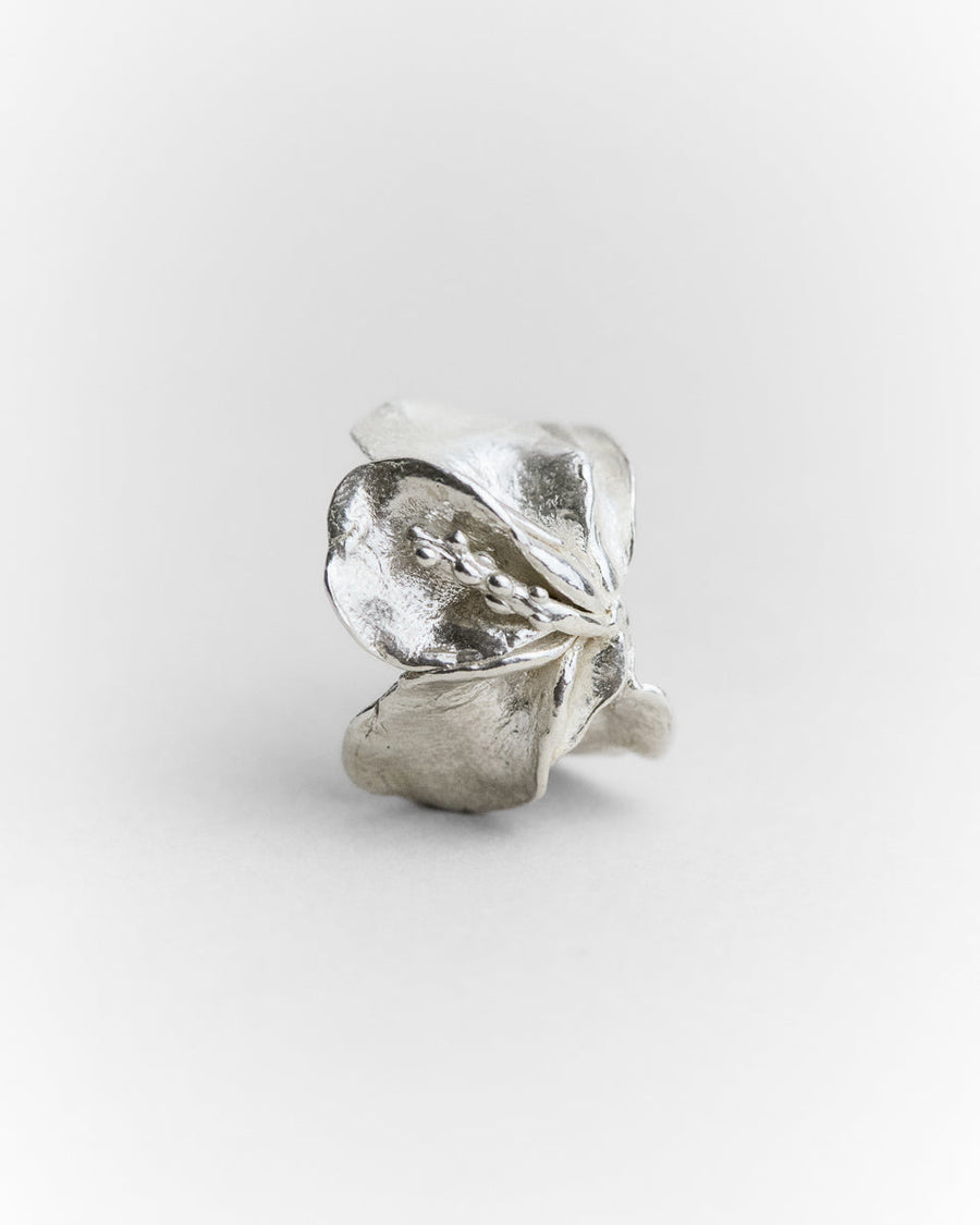 Jeanette's Ring