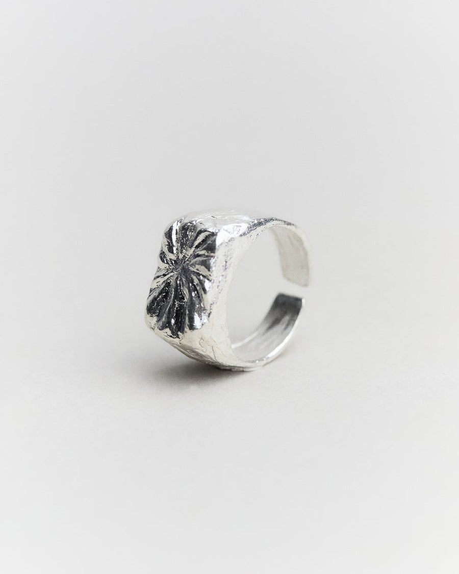 Carmina's Ring
