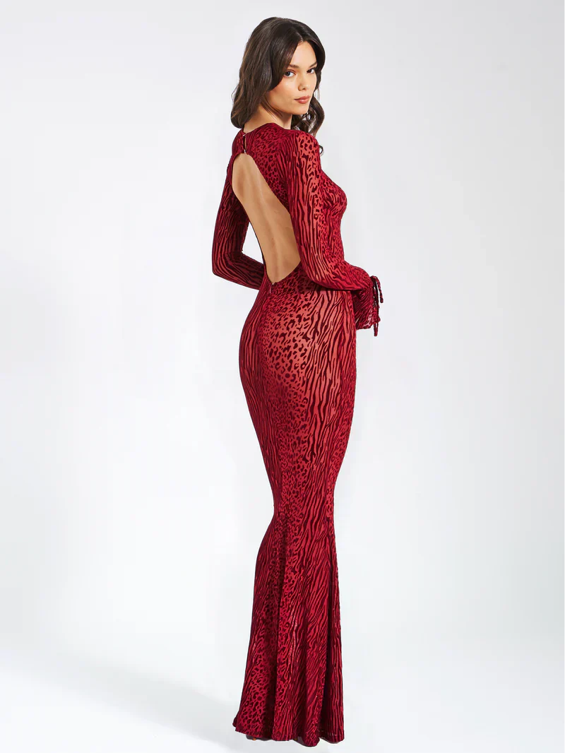 Lariza Elegant Gown