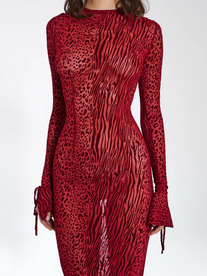 Lariza Elegant Gown