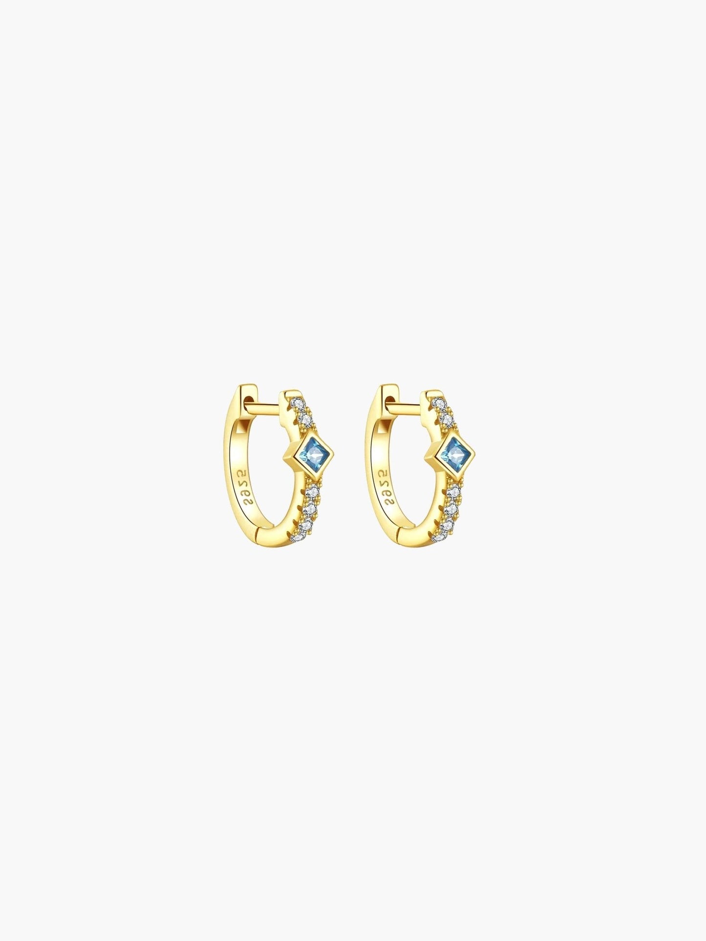 Amber Hoop Earrings
